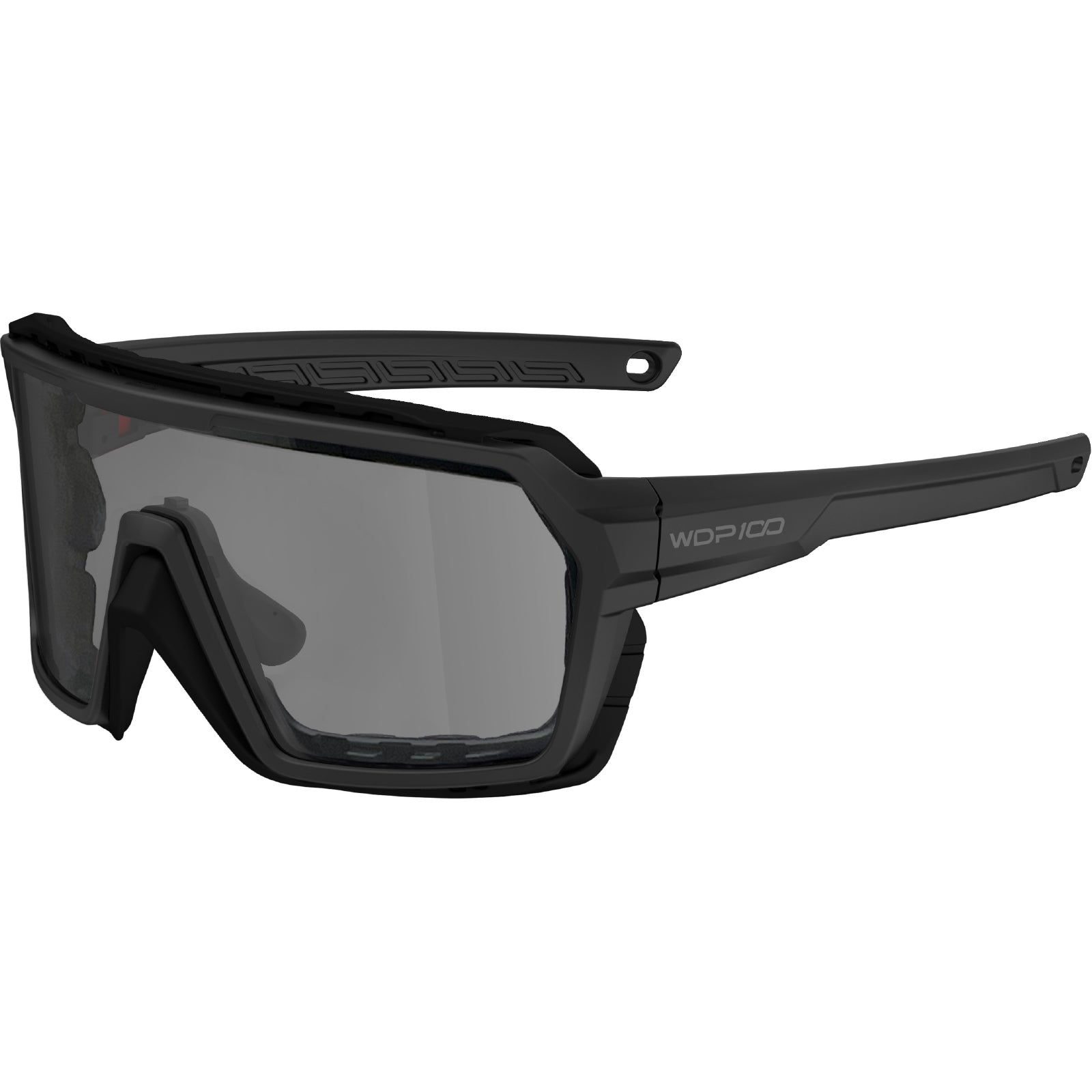 WDP100 Q38 Powersports Motorcycle anti fog Riding Ski Sports glasses Goggles