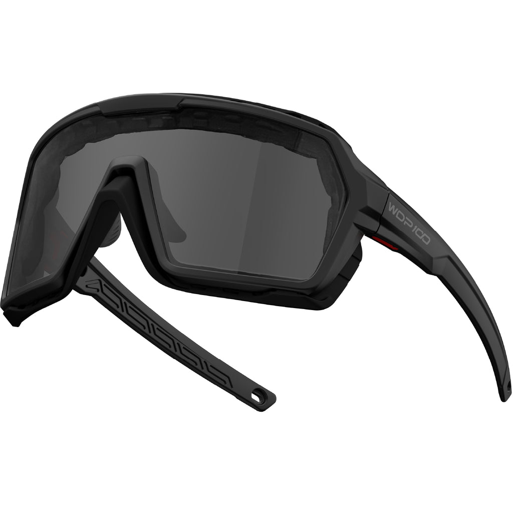 WDP100 Q38 Powersports Motorcycle anti fog Riding Ski Sports glasses Goggles